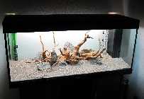 Aquarium 005.jpg