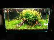 05.06.10 012_(800_x_600).jpg