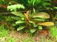 05.06.10 003_(800_x_600).jpg