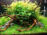 05.06.10 002_(800_x_600).jpg