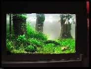 comp_IMG_2885pkr (800 x 600).jpg