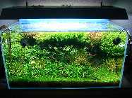 05.06.10 014_(800_x_600).jpg
