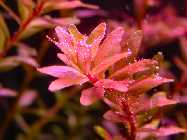 DSCN6545.jpgs.jpg