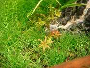12.06.10 sony 006_(800_x_600).jpg