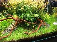 12.06.10 sony 012_(800_x_600).jpg