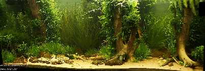 _A107857.jpg