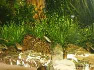 _A107877.jpg