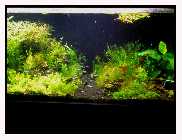 Aquarium Ansicht nicht alles drauf 2.jpg
