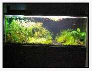 Aquarium Vollansicht 2.jpg