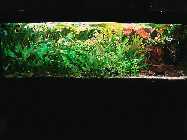DSC05310-bearb-90kb.jpg