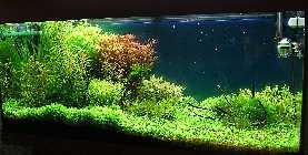 DSC00438.jpg