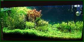 DSC00444.jpg