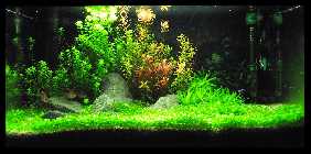 54er 2010 08 18.jpg