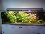 DSC00150.jpg