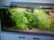 DSC00151.jpg