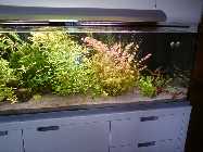 DSC00152.jpg