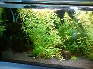 DSC00156.jpg