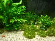 P1040540-1.jpg