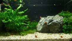 P1040546-2.jpg