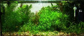 PICT0138b.jpg