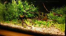 2010_10210005.jpg