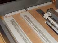 SDC10954_1.jpg