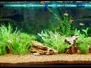 AQ_02.12.2010_3_1.jpg