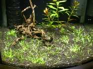 15.04.2008 _1.jpg