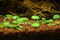 DSC01098.jpg