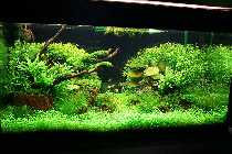 16.05.08 250liter 003_(800_x_600).jpg