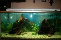 IMG_4341 abc2.jpg
