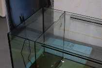 aqarium neu1 (2).jpg