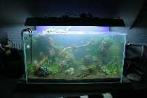 hardscape 003 800x600.jpg