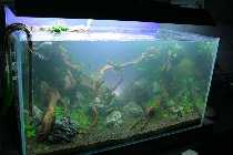 hardscape 009 800x600.jpg