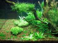 PICT0003_1.jpg