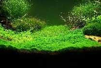 DSC01128.jpg