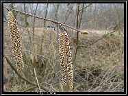 comp_DSC09131.jpg