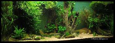 IMG_8302.jpg