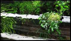 IMG_8324.jpg