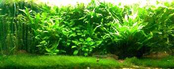 Becken_21_10_06.jpg
