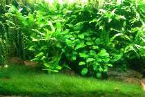Becken_21_10_06_3.jpg