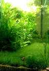 Becken_21_10_06_4.jpg