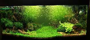 DSC01158.jpg