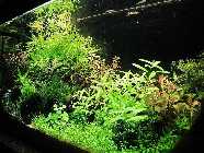 IMG_2753.jpg