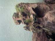 2011-04-03_19-21-58_424_Hannoversch.jpg