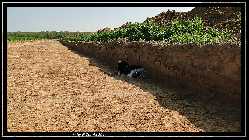 comp_DSC09513.jpg
