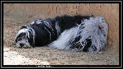 comp_DSC09514.jpg