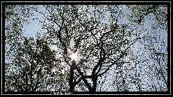 comp_DSC09536.jpg