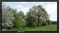 comp_DSC09541.jpg