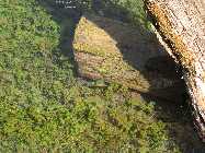 IMG_8643.jpg